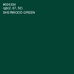 #024334 - Sherwood Green Color Image